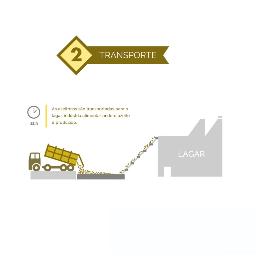 03 – Processo de elaboraçao