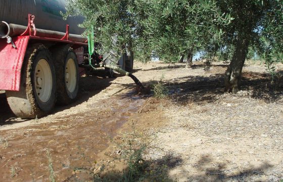 Gestão de resíduos líquidos procedentes dos lagares mediante a sua aplicação a fazendas de olivais