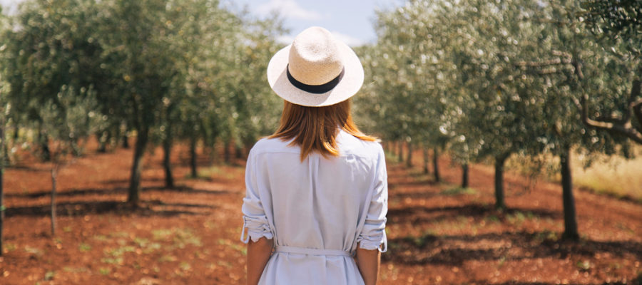 Olivoturismo na Espanha: o prazer de viajar a negócios ou lazer e degustar azeites de oliva