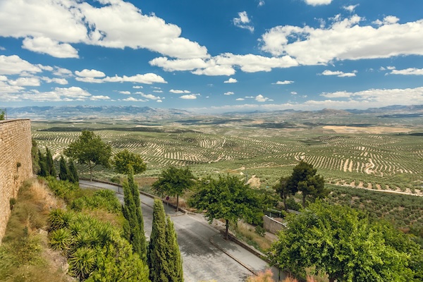 Muralla de Úbeda vista campos de olivos